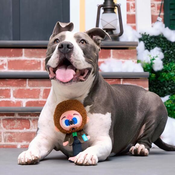 Bark Home Alone Marv Dog Toy Christmas Villain Squeaky Crinkle Thrash Plush - Picture 3 of 4